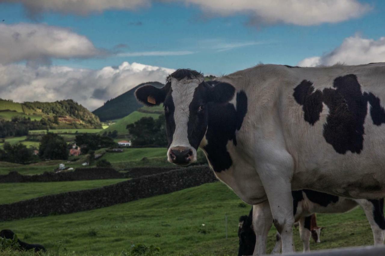 Quinta Do Norte Capelas Dış mekan fotoğraf