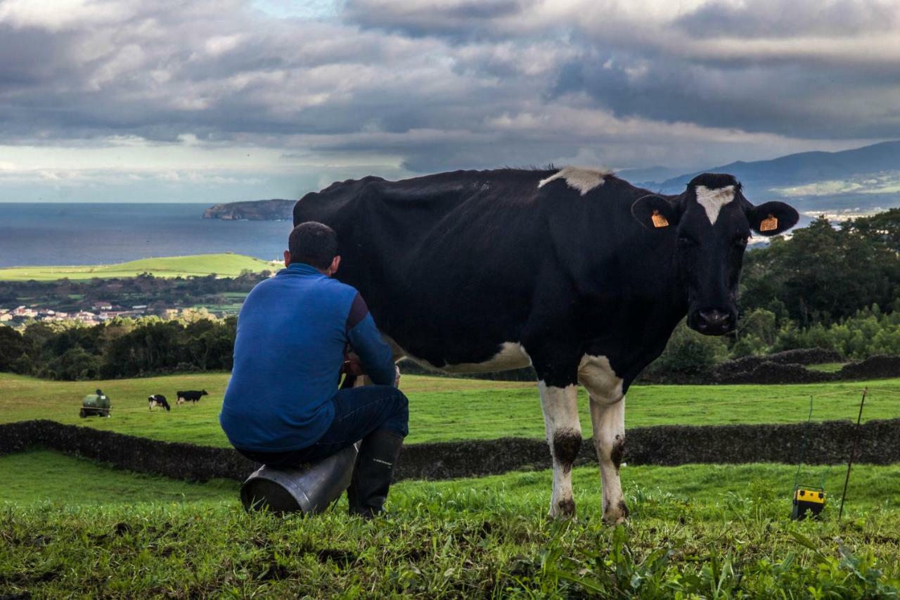 Quinta Do Norte Capelas Dış mekan fotoğraf